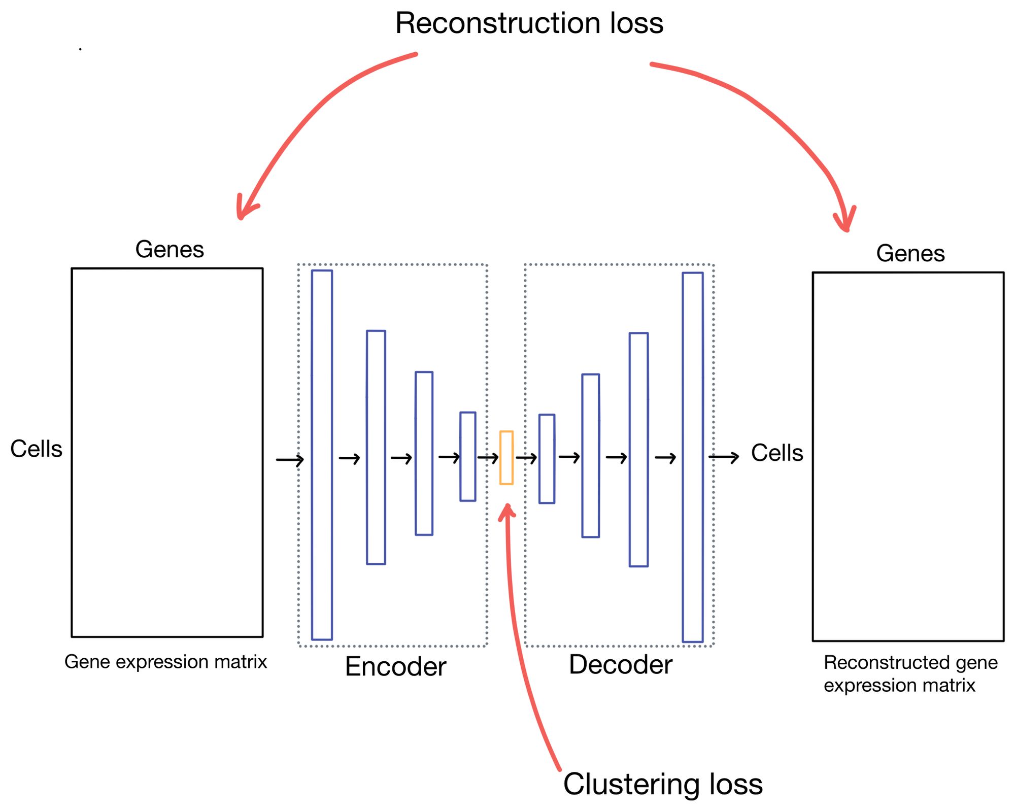 Explained: Deep learning methods for scRNA-seq clustering