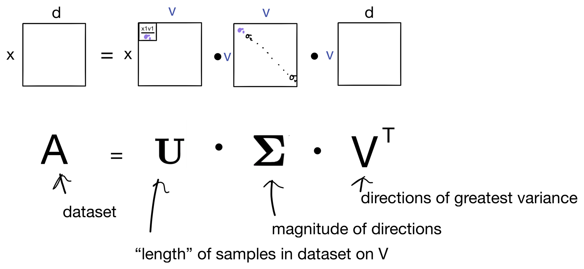 Explained: Singular Value Decomposition (SVD)