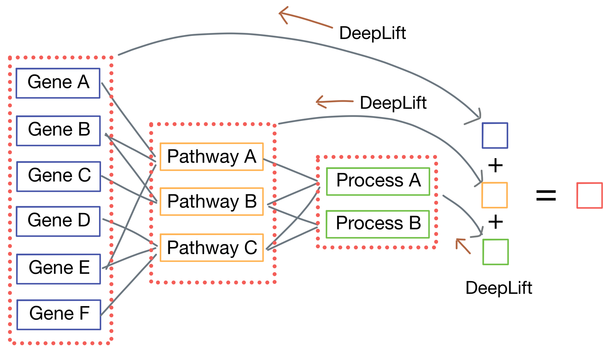 Paper Walkthrough: P-Net - a biologically informed deep neural network
for prostate cancer discovery