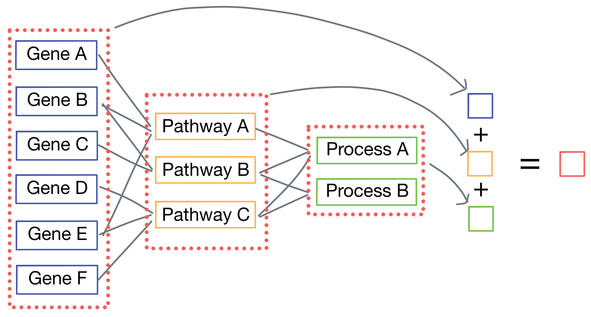 Paper Walkthrough: P-Net - a biologically informed deep neural network
for prostate cancer discovery