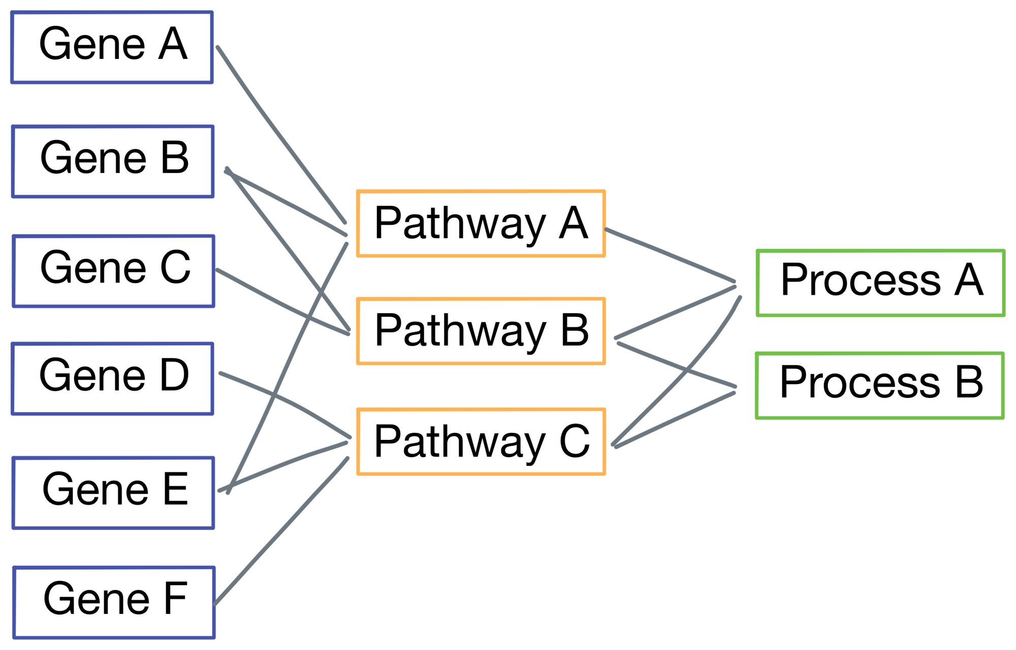 Paper Walkthrough: P-Net - a biologically informed deep neural network
for prostate cancer discovery