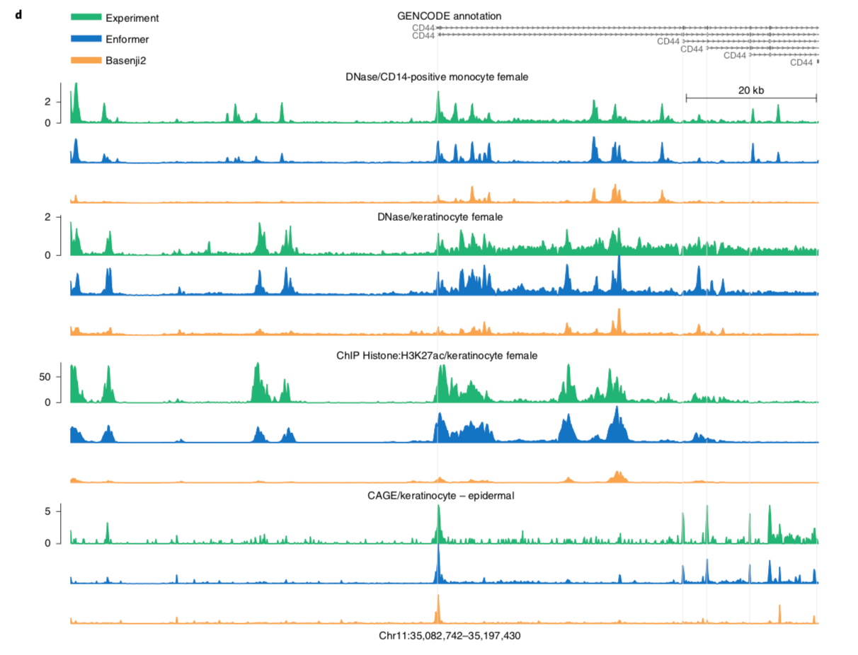 Enformer: Effective gene expression prediction from sequence by integrating long-range interactions