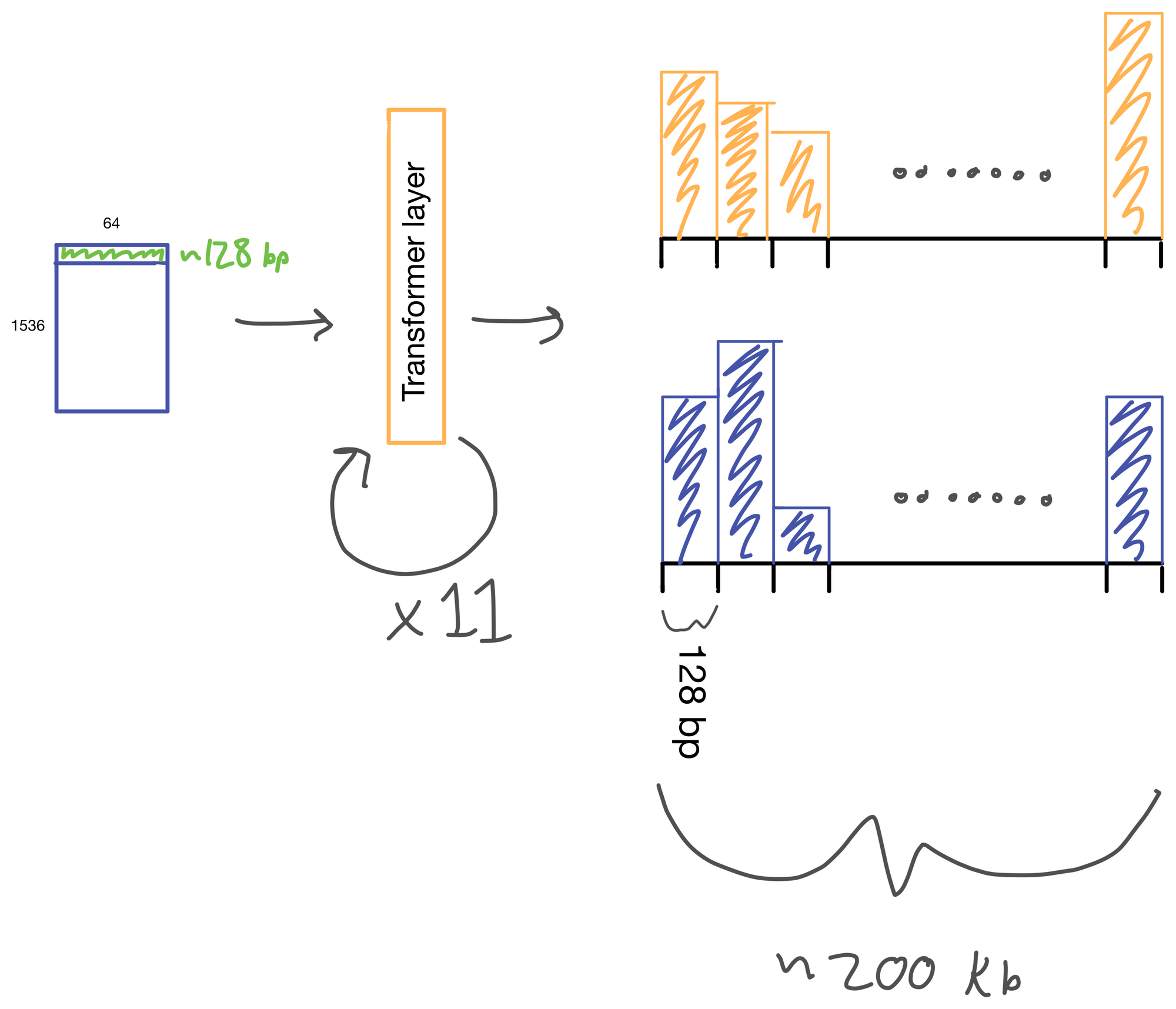 Enformer: Effective gene expression prediction from sequence by integrating long-range interactions