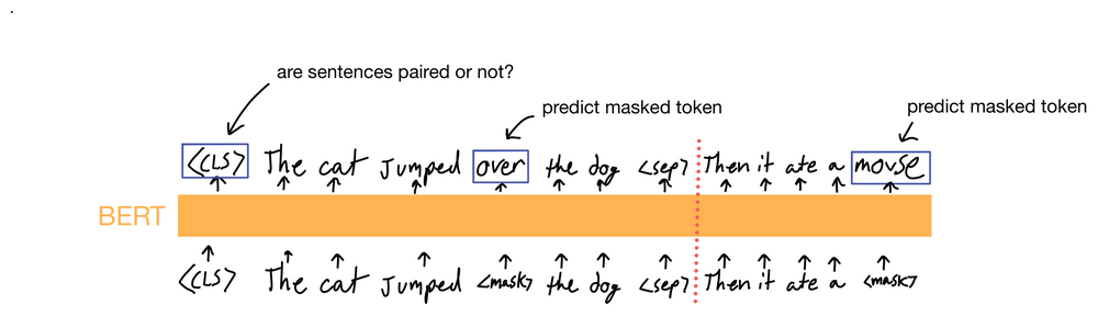 Paper Walkthrough: Bidirectional Encoder Representations from ...